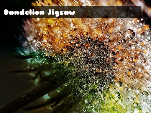 Dandelion Jigsaw Game
