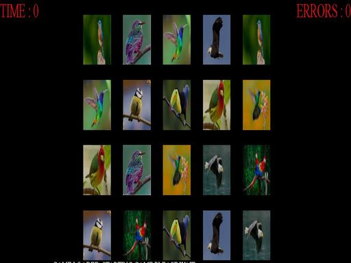  Memorize The Birds Game
