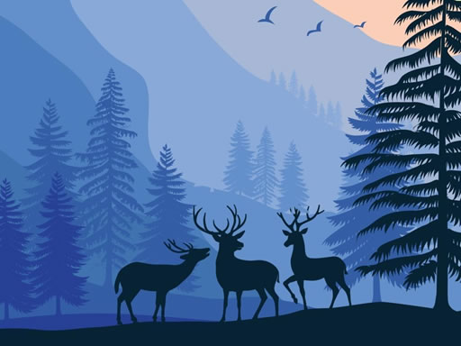Landscape Paradise Hidden Game