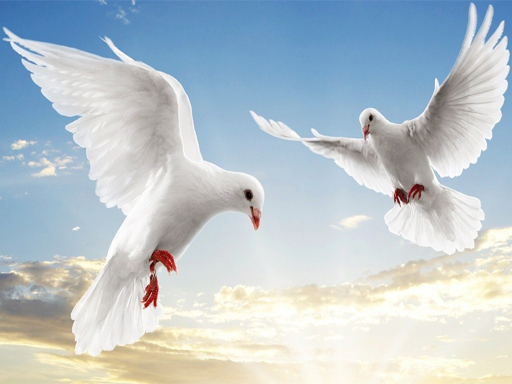 Flying Birds Slide Game
